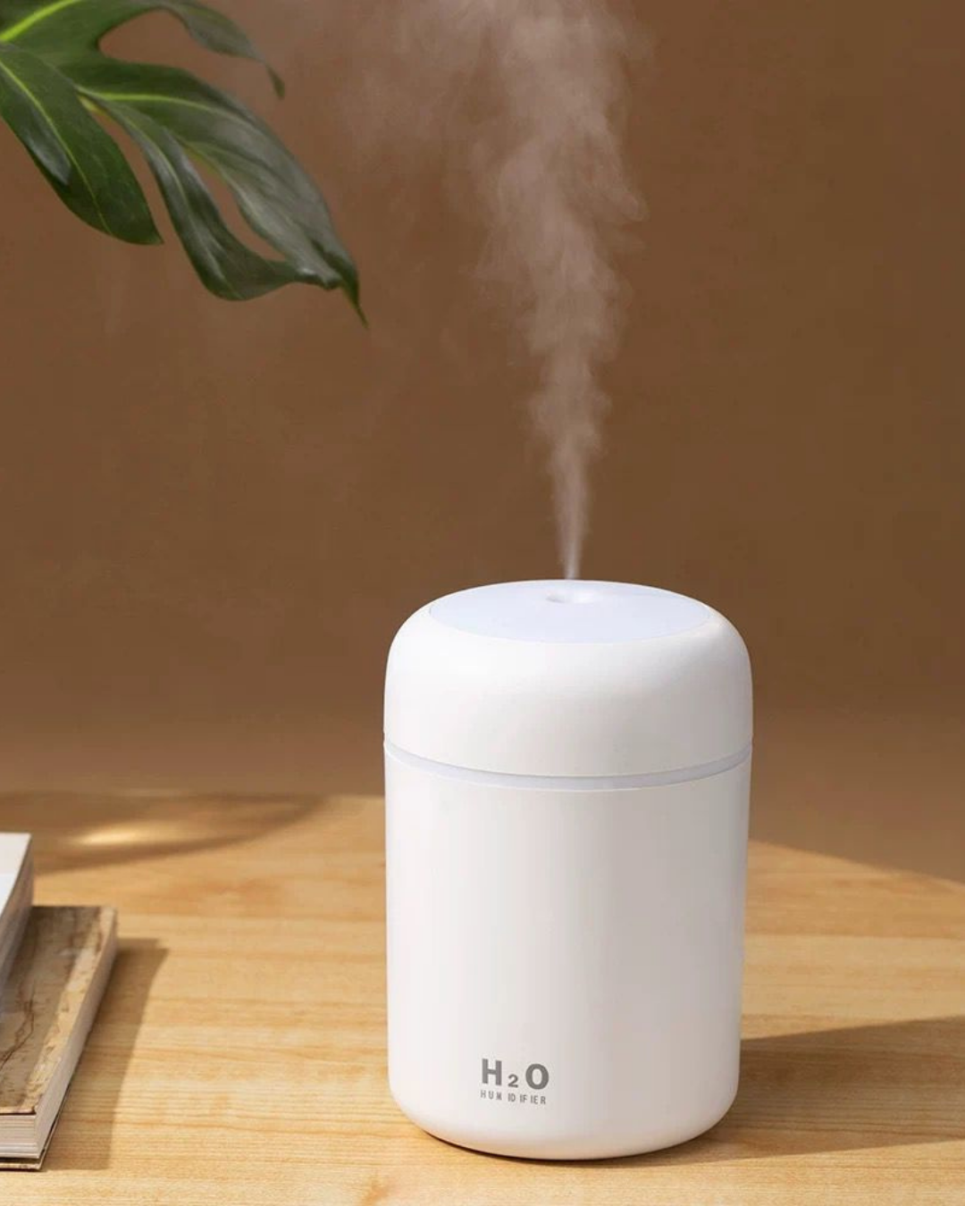 Humidificador H2O