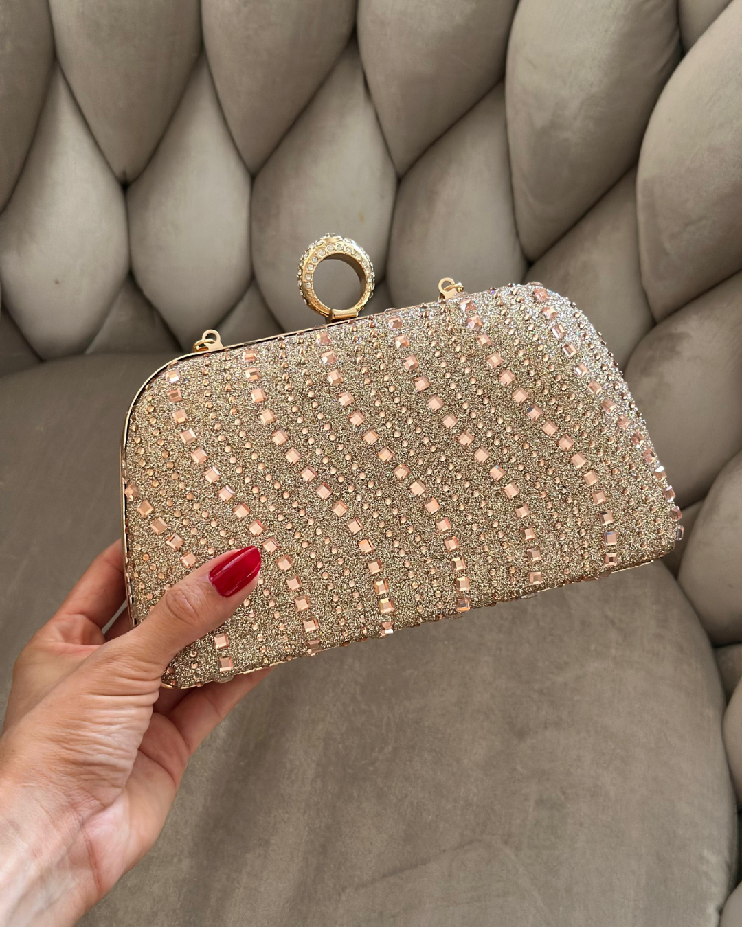 Cartera de Fiesta