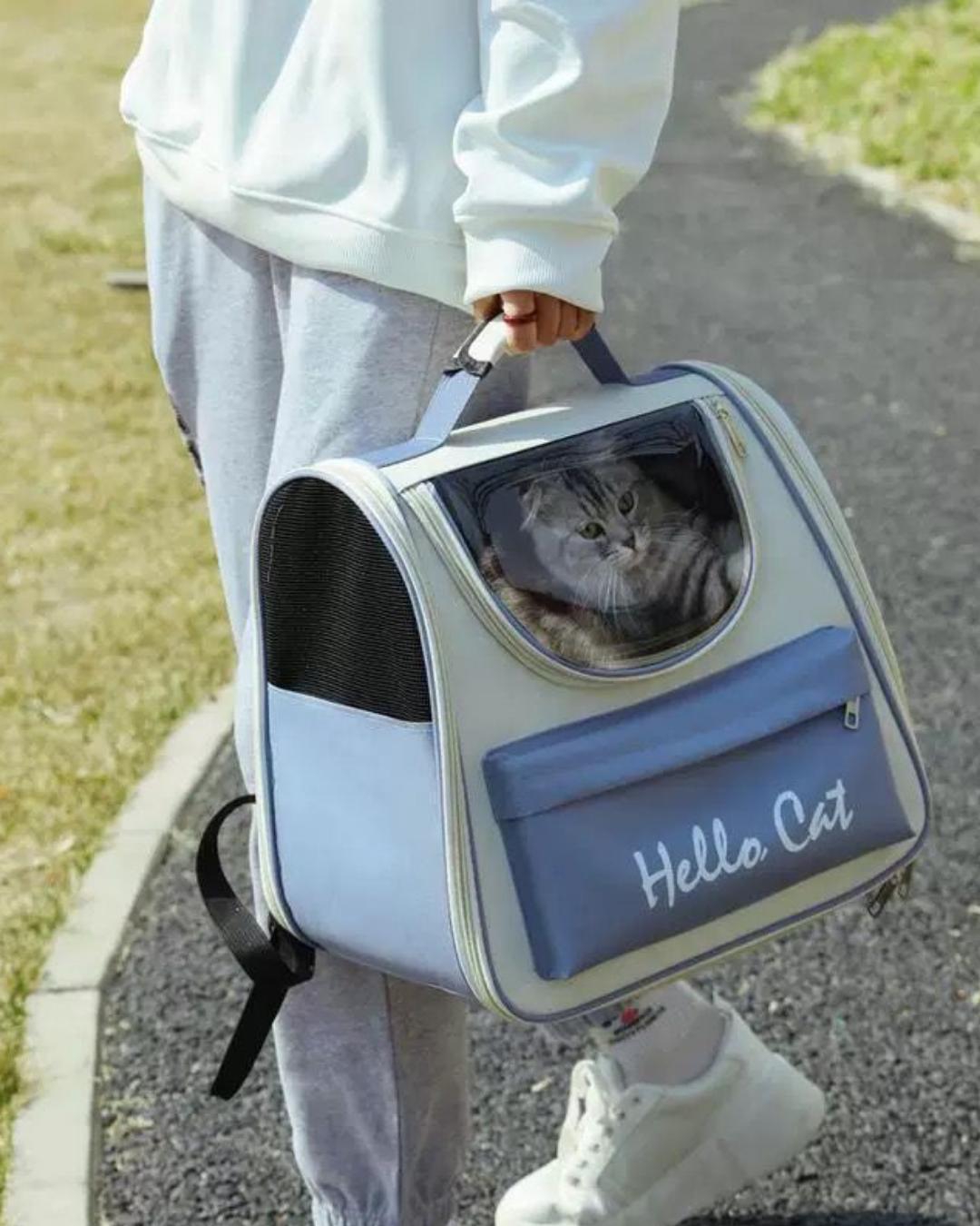 Morral para Gatos