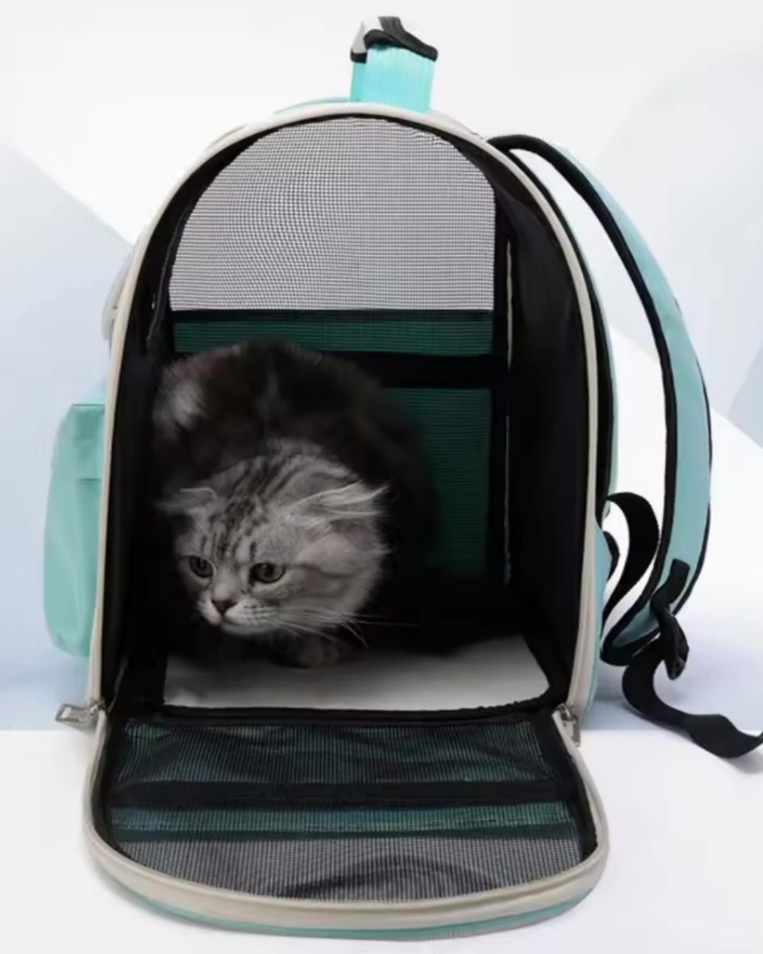 Morral para Gatos